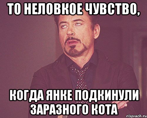 то неловкое чувство, когда янке подкинули заразного кота, Мем твое выражение лица