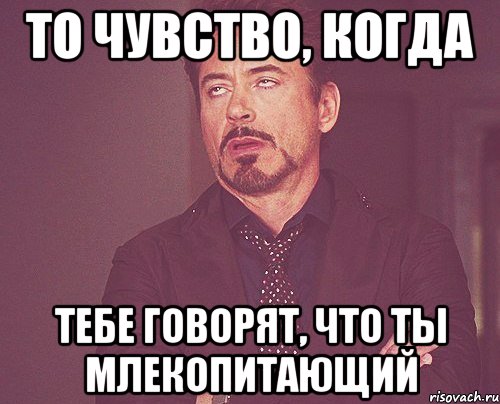 то чувство, когда тебе говорят, что ты млекопитающий, Мем твое выражение лица