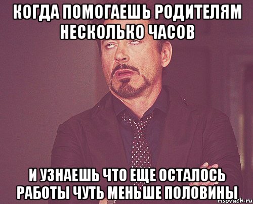 когда помогаешь родителям несколько часов и узнаешь что еще осталось работы чуть меньше половины, Мем твое выражение лица