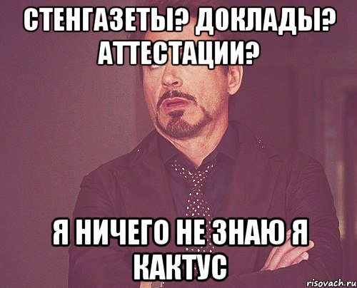 стенгазеты? доклады? аттестации? я ничего не знаю я кактус, Мем твое выражение лица