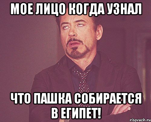 мое лицо когда узнал что пашка собирается в египет!, Мем твое выражение лица