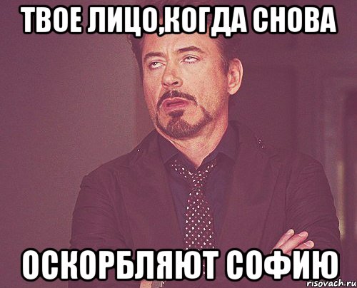 твое лицо,когда снова оскорбляют софию, Мем твое выражение лица