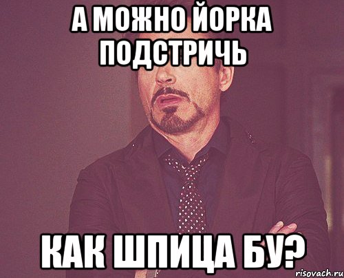 а можно йорка подстричь как шпица бу?, Мем твое выражение лица