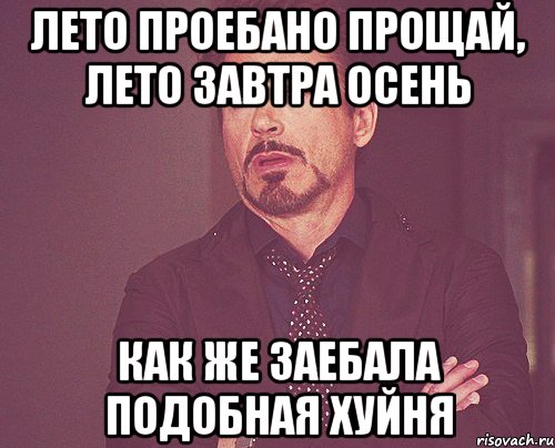 лето проебано прощай, лето завтра осень как же заебала подобная хуйня, Мем твое выражение лица
