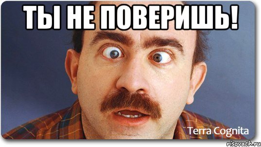 ты не поверишь! , Мем Ты не поверишь