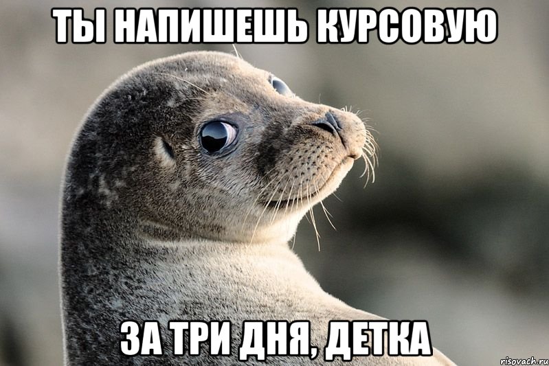 ты напишешь курсовую за три дня, детка