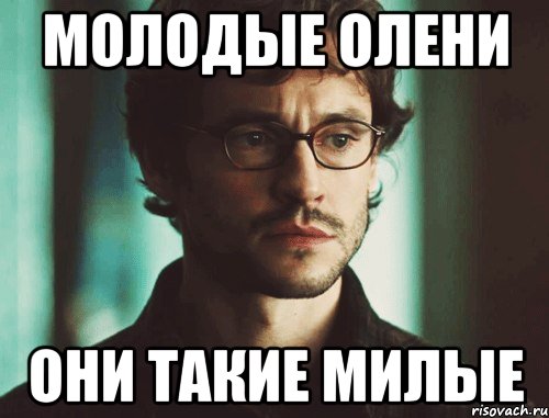 молодые олени они такие милые
