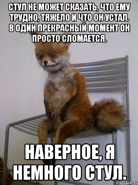 стул не может сказать, что ему трудно, тяжело и что он устал. в один прекрасный момент он просто сломается. наверное, я немного стул., Мем Упоротая лиса