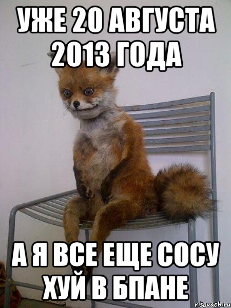 уже 20 августа 2013 года а я все еще сосу хуй в бпане, Мем Упоротая лиса