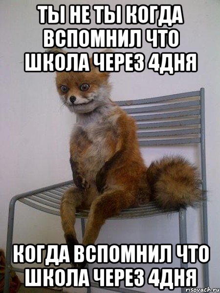 ты не ты когда вспомнил что школа через 4дня когда вспомнил что школа через 4дня, Мем Упоротая лиса