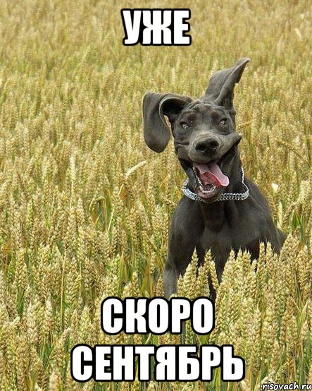 уже скоро сентябрь