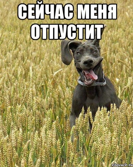 сейчас меня отпустит 