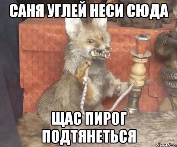 саня углей неси сюда щас пирог подтянеться