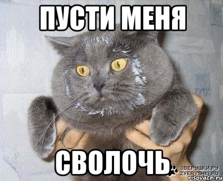 пусти меня сволочь, Мем в сметане