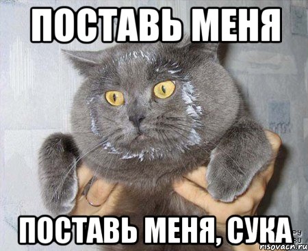 поставь меня поставь меня, сука, Мем в сметане