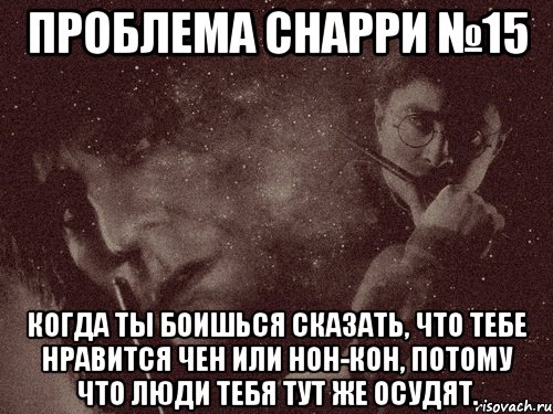 проблема снарри №15 когда ты боишься сказать, что тебе нравится чен или нон-кон, потому что люди тебя тут же осудят., Мем в