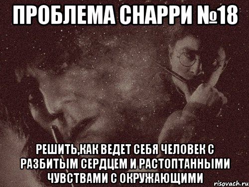 проблема снарри №18 решить,как ведет себя человек с разбитым сердцем и растоптанными чувствами с окружающими
