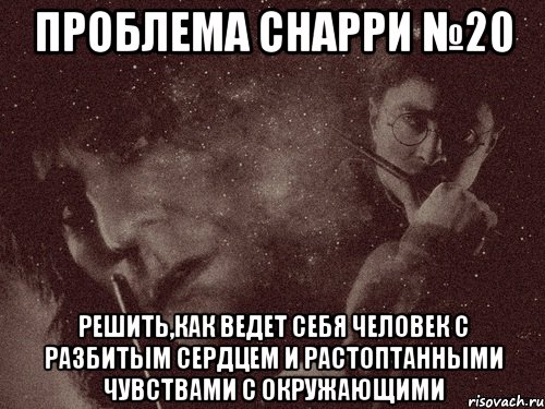 проблема снарри №20 решить,как ведет себя человек с разбитым сердцем и растоптанными чувствами с окружающими