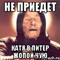 не приедет катя в питер жопой чую, Мем Ванга (цвет)