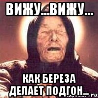 вижу...вижу... как береза делает подгон..., Мем Ванга (цвет)