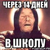 через 14 дней в школу, Мем Ванга (цвет)