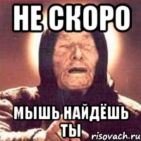 не скоро мышь найдёшь ты, Мем Ванга (цвет)