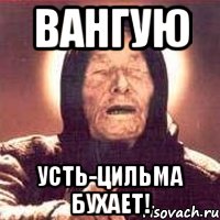 вангую усть-цильма бухает!, Мем Ванга (цвет)
