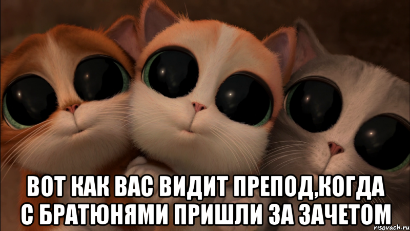  вот как вас видит препод,когда с братюнями пришли за зачетом, Мем Виквыздоравливай