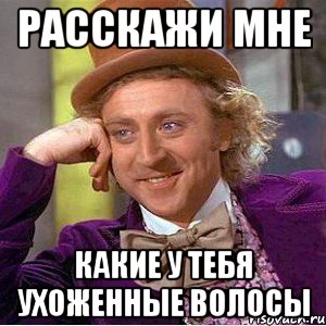 расскажи мне какие у тебя ухоженные волосы, Мем Ну давай расскажи (Вилли Вонка)