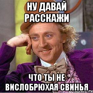 ну давай расскажи что ты не вислобрюхая свинья, Мем Ну давай расскажи (Вилли Вонка)