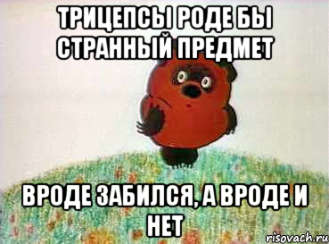 трицепсы роде бы странный предмет вроде забился, а вроде и нет