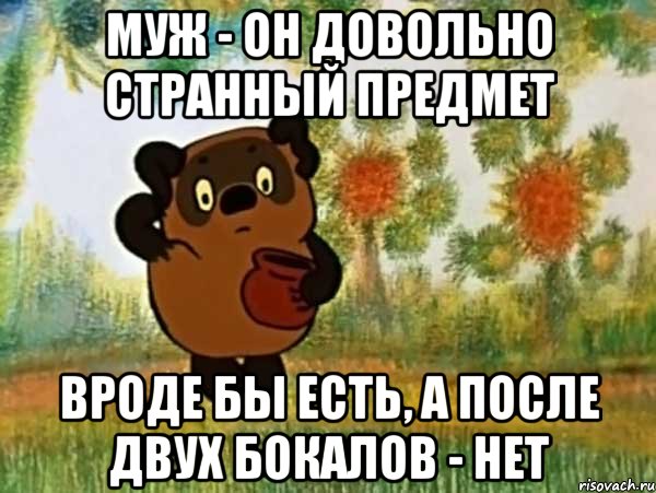 муж - он довольно странный предмет вроде бы есть, а после двух бокалов - нет, Мем Винни пух чешет затылок