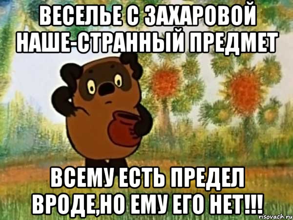 веселье с захаровой наше-странный предмет всему есть предел вроде,но ему его нет!!!, Мем Винни пух чешет затылок