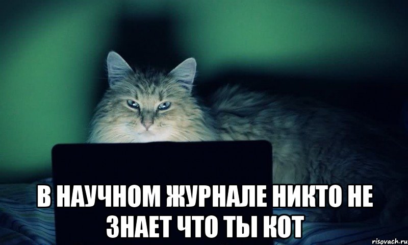  в научном журнале никто не знает что ты кот, Мем vkcomsnegiryata