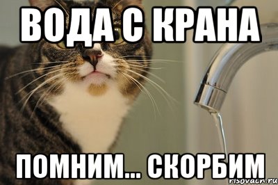 вода с крана помним... скорбим, Мем вода с крана