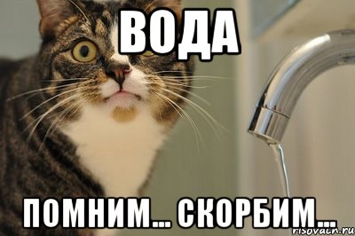 вода помним... скорбим..., Мем вода с крана