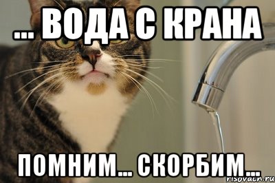 ... вода с крана помним... скорбим..., Мем вода с крана