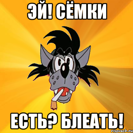 эй! сёмки есть? блеать!, Мем Волк