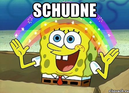 schudne 