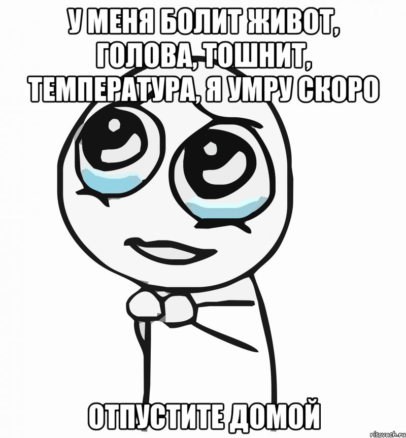 у меня болит живот, голова, тошнит, температура, я умру скоро отпустите домой, Мем  ну пожалуйста (please)