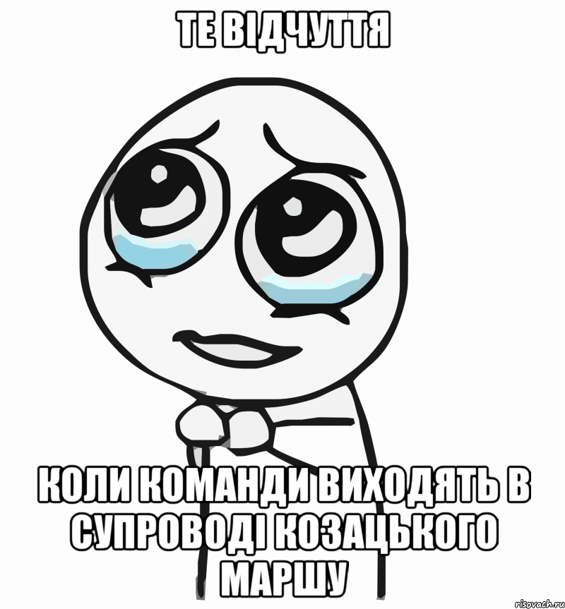 те відчуття коли команди виходять в супроводі козацького маршу, Мем  ну пожалуйста (please)