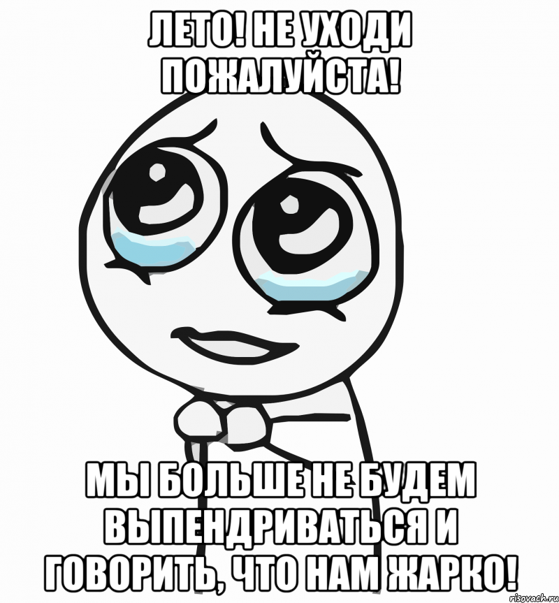 лето! не уходи пожалуйста! мы больше не будем выпендриваться и говорить, что нам жарко!, Мем  ну пожалуйста (please)