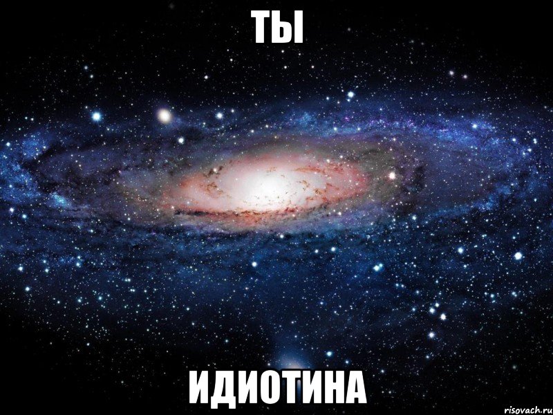 ты идиотина, Мем Вселенная