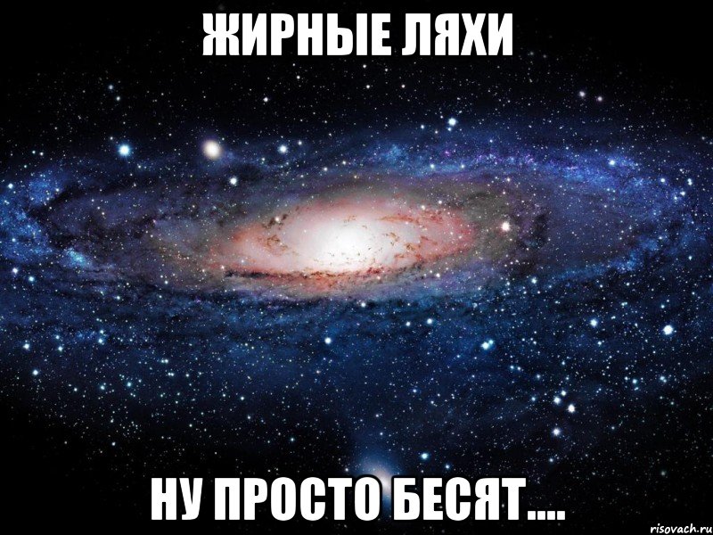 жирные ляхи ну просто бесят...., Мем Вселенная