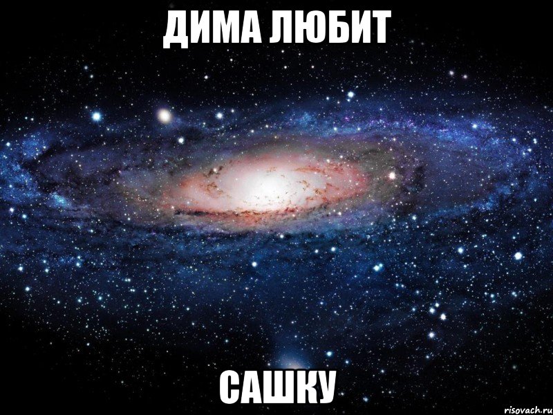 дима любит сашку, Мем Вселенная