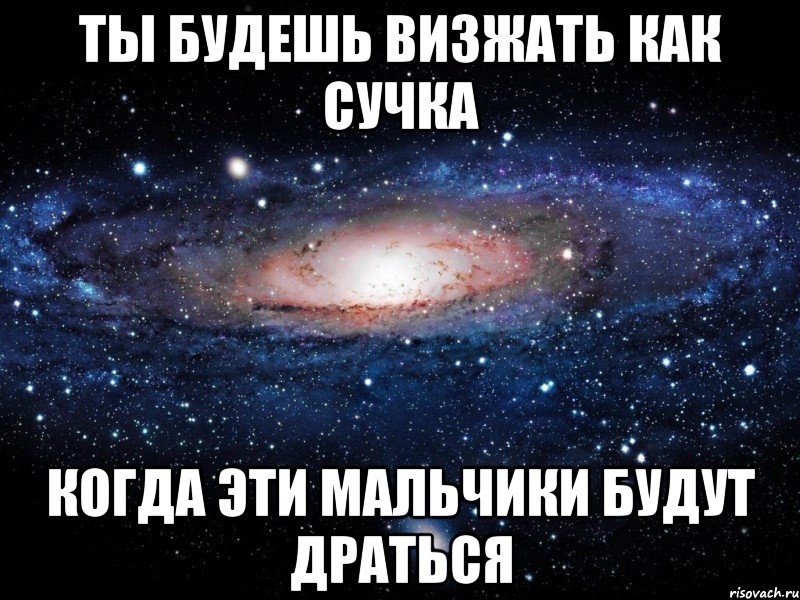 ты будешь визжать как сучка когда эти мальчики будут драться, Мем Вселенная