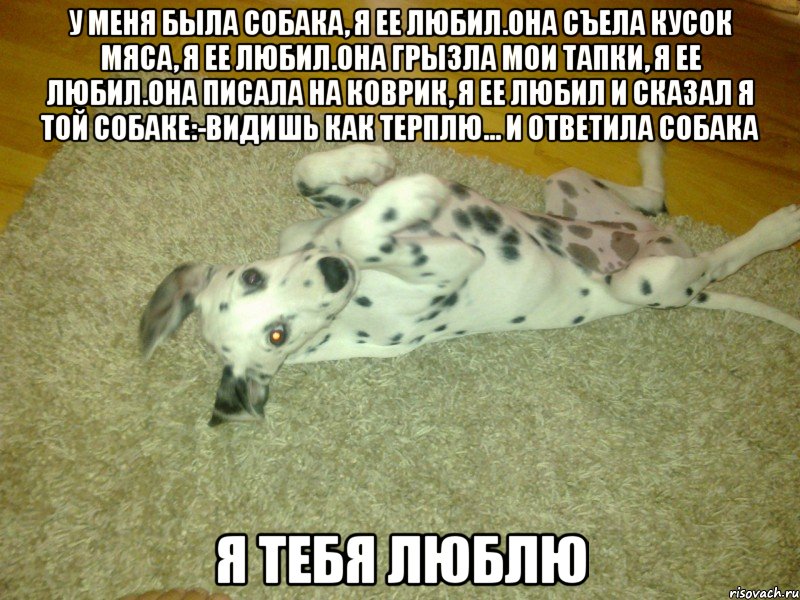 у меня была собака, я ее любил.она съела кусок мяса, я ее любил.она грызла мои тапки, я ее любил.она писала на коврик, я ее любил и сказал я той собаке:-видишь как терплю... и ответила собака я тебя люблю, Мем вввввввввв