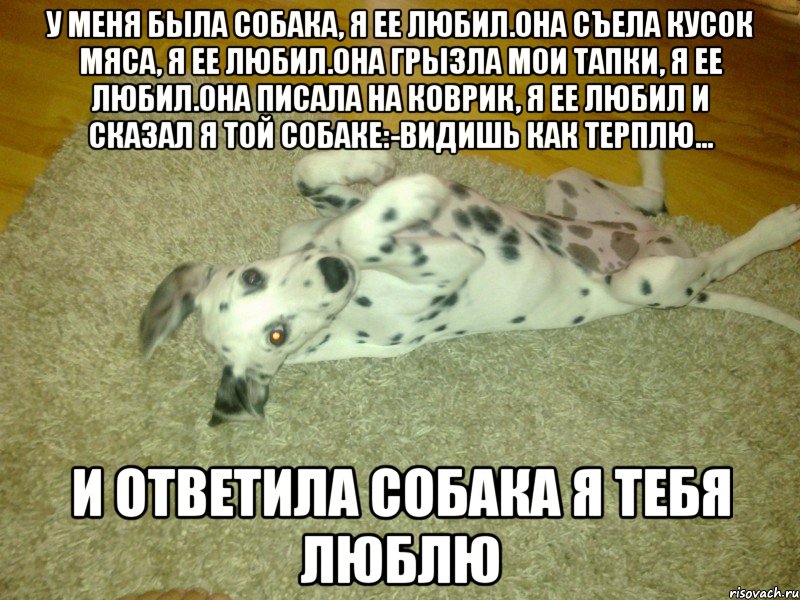 у меня была собака, я ее любил.она съела кусок мяса, я ее любил.она грызла мои тапки, я ее любил.она писала на коврик, я ее любил и сказал я той собаке:-видишь как терплю... и ответила собака я тебя люблю, Мем вввввввввв