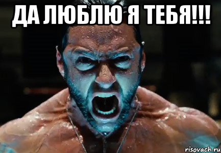 да люблю я тебя!!! , Мем выф