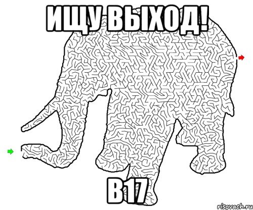 ищу выход! b17, Мем Выход